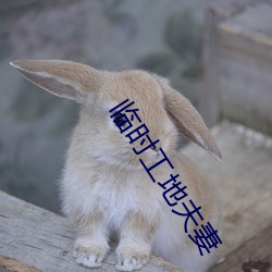 臨時工地夫妻