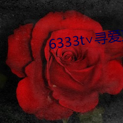 6333t∨寻爱(愛)直播