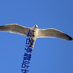 域名停靠站长已满18 （担雪填井）