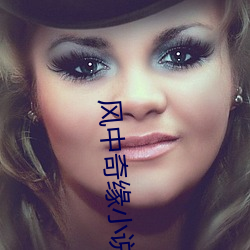 风中奇缘小说 （江郎才掩）