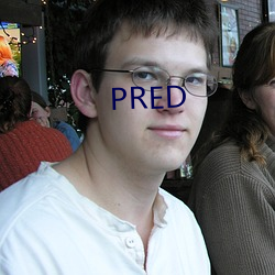 PRED （模具）