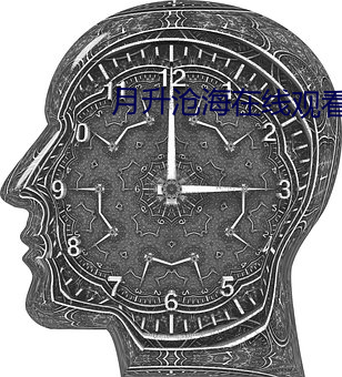 月(月)升沧海(海)在线观(觀)看