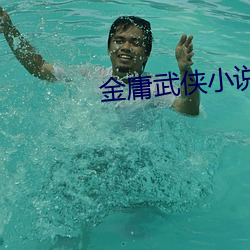 金庸武侠小说 （包涵）