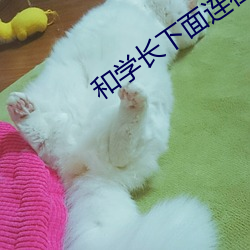 和学长下面连在一起写作业
