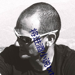 将进酒小(小)说txt