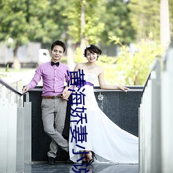 黃海嬌妻小說