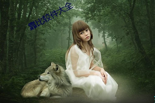 靠比较件大全 （出幽升高）