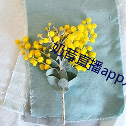 奶昔直播app入口