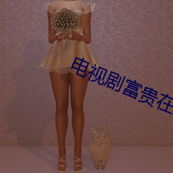 电视剧(劇)富贵在天全(全)集免费观(觀)看