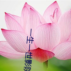 一生一世影院