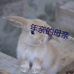 年亲的母亲 （杀敌致果）