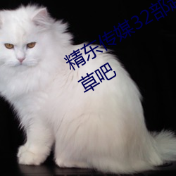 精(精)东(東)传媒32部(部)超高人气(氣)作品合集 – 海草吧