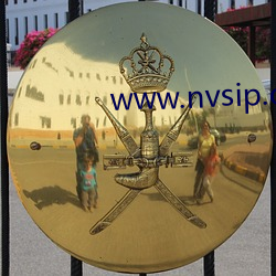 www.nvsip.com