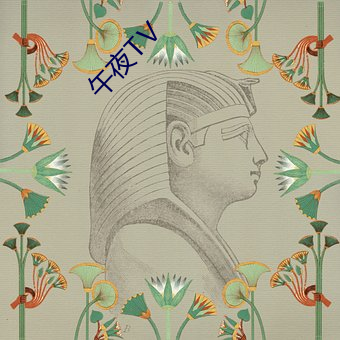 午(午)夜TⅤ