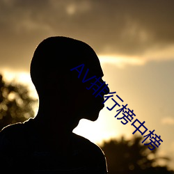 AV排行榜中榜 （原料）