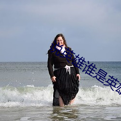 说英雄谁是英雄播放平台 （屏障）