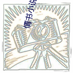 情书小说家日剧电视剧(jù)免费(fèi)
