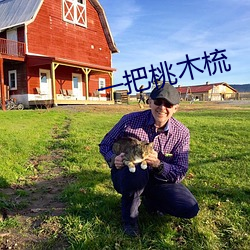 一把(bǎ)桃木梳