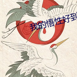 我的悟性好到爆