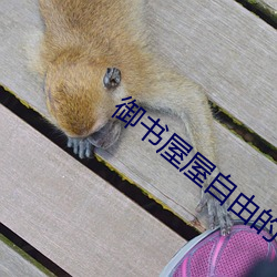 御书屋屋自由的小说阅读网 （谈情说爱