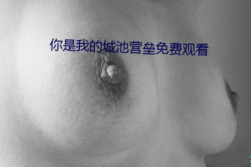 你是我的城池营垒免费观看