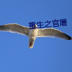 重生之官屠