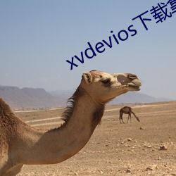 xvdevios下載拿走