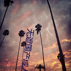 无(wú)遮(zhē)国产(chǎn)成人(rén)免(miǎn)费(fèi)视(shì)频在线观看