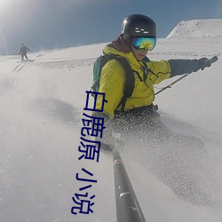 白鹿原 小(xiǎo)说