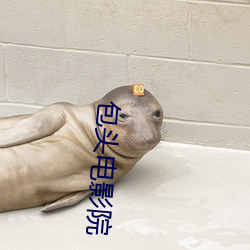 ^電影Ժ