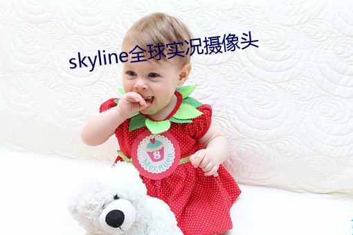 skyline全球实况摄像头