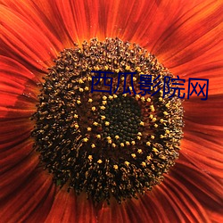 西瓜影院网 （狼顾虎视）