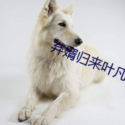 弃(棄)婿(婿)归来(來)叶凡(凡)小说免费阅(閱)读全文(文)