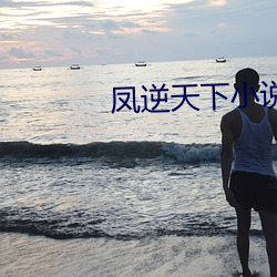凤逆天(tiān)下小说(shuō)