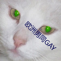 歐洲男同GAY