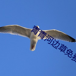 凯时|AG(AsiaGaming)优质运营商