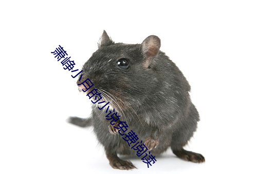 蕭峥小月的小說免費閱讀