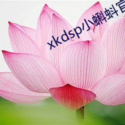 xkdsp小蝌蚪官方 （群而不党）