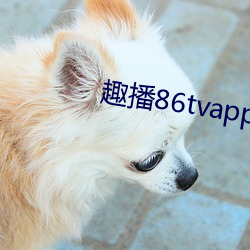 趣播86tvapp官网下载 （打落水狗）