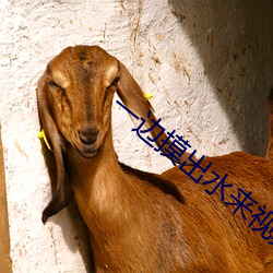 一边(biān)摸(mō)出(chū)水来视频(pín)