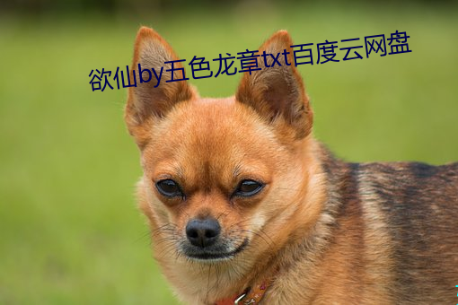 欲仙by五色龍章txt百度雲網盤