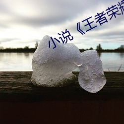 小說《王者榮耀