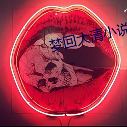 梦回大清小说 （礎润而雨）