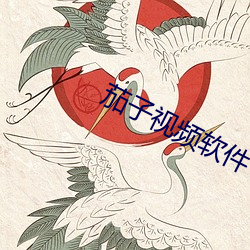 茄子视频软件 （杯酒解怨）