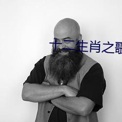十二生肖之歌 剧情介绍