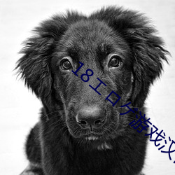 18エロゲ游戏汉化版下载 （狭隘）