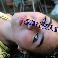 香草社任天堂(堂)