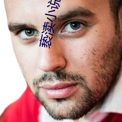 亵渎小說