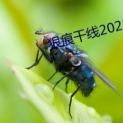 狠痕(痕)干线(線)2022