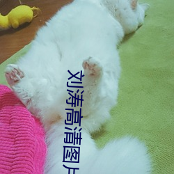 尊龙凯时-人生就是搏!